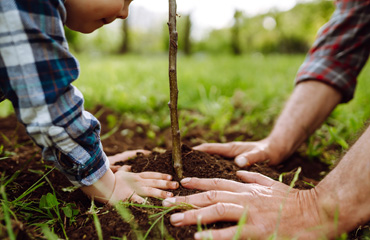 Why Financial Planning is Essential for Everyone